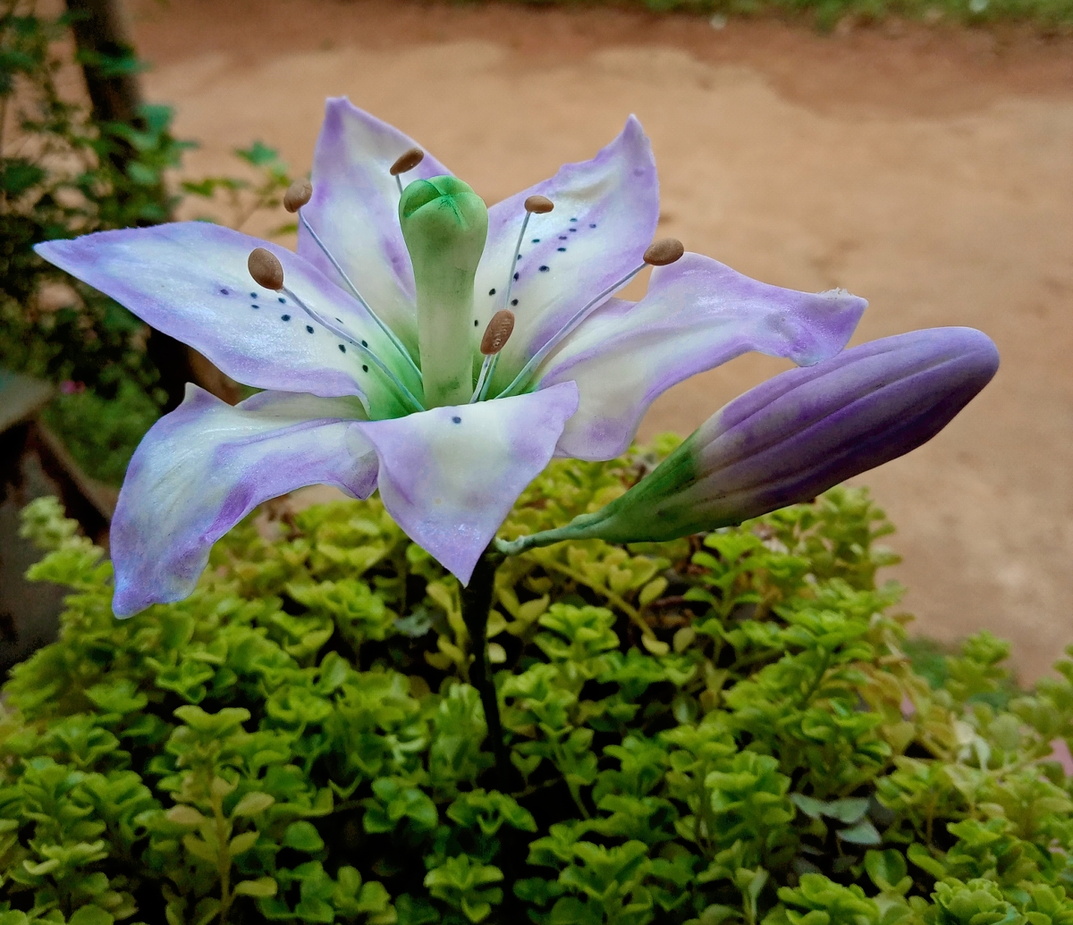 Lily – Sugar Flowers, Cakes by Malsha, Minuwangoda