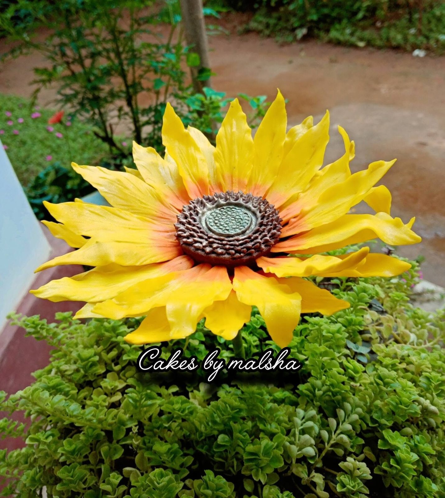 Hand-made sugar sunflower