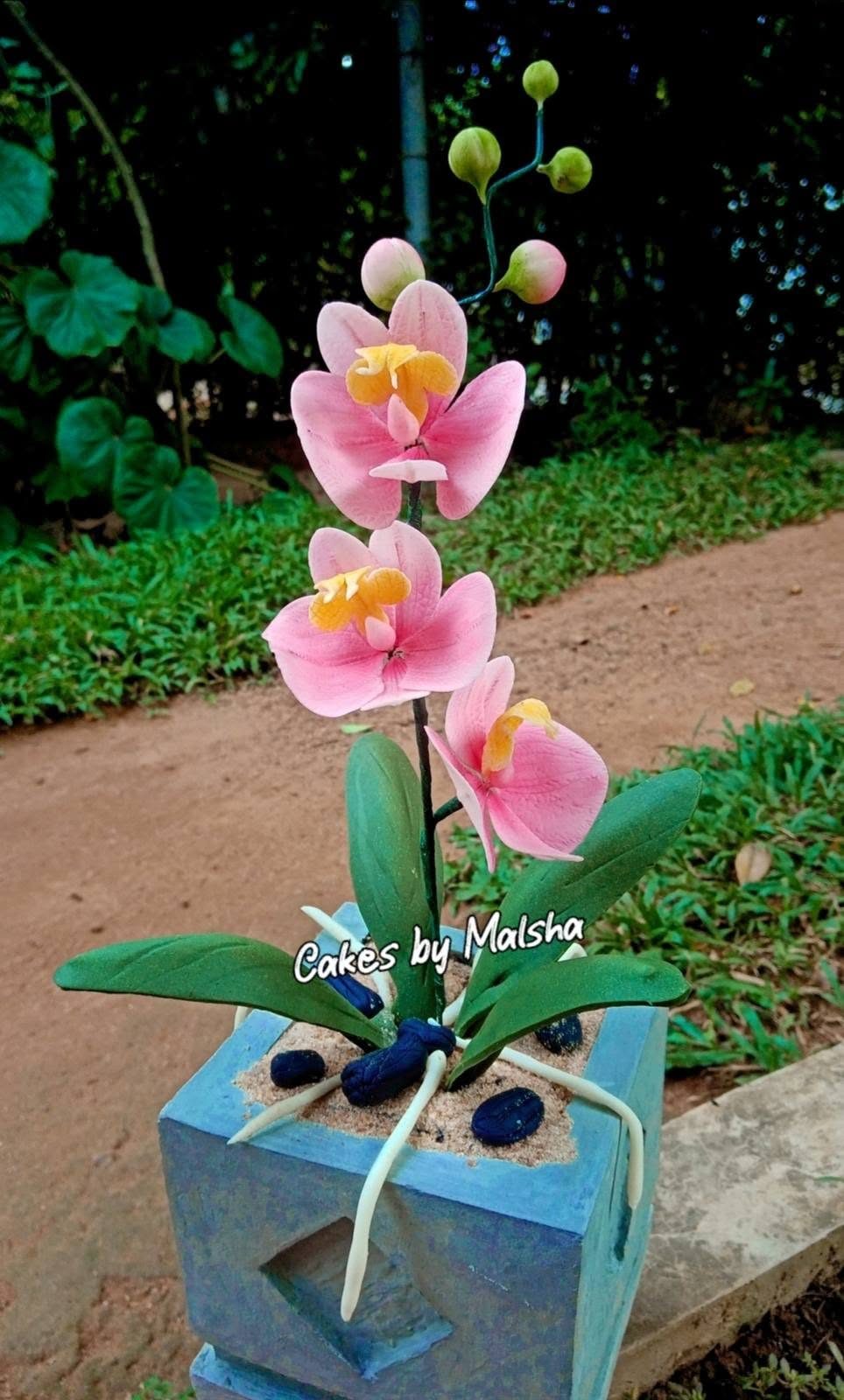 Hand-made sugar orchid in a pot